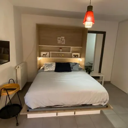 Chic Little Boheme Proche Hopitaux, 15 Mn Du Centre Apartment Lyon